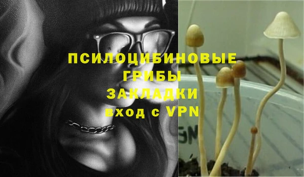 шишки Аркадак