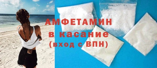 шишки Аркадак
