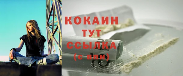 шишки Аркадак