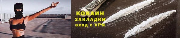 шишки Аркадак
