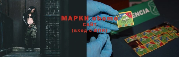 шишки Аркадак