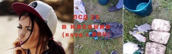 шишки Аркадак